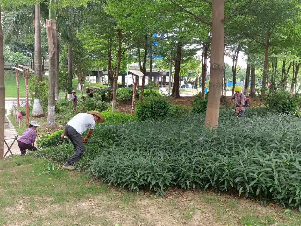 佛山绿植出租的物联网应用